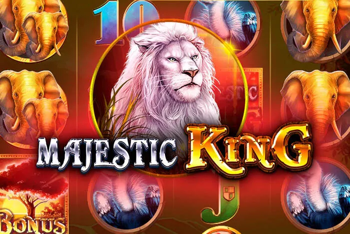 Activa tu Código sin depósito de Slotsvader Casino.